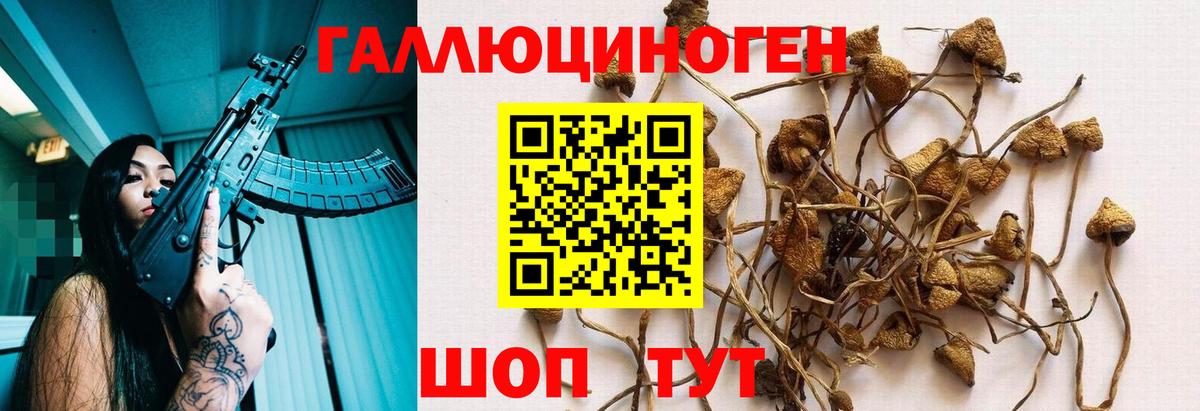 Галлюциногенные грибы ЛСД Магадан