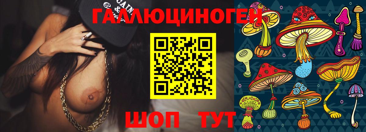 Галлюциногенные грибы Psilocybe  Вход с VPN  Магадан 